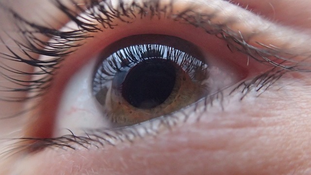 Gør dine øjenbryn til et statement: Farverige øjenbryn er den nye trend